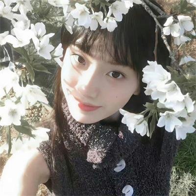 绿洲海报