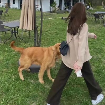 替嫁医女第一季海报